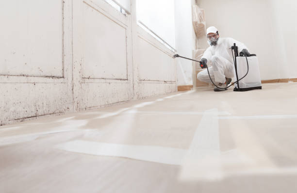 24/7 Emergency Attic Mold Remediation experts in Lawrence, NY